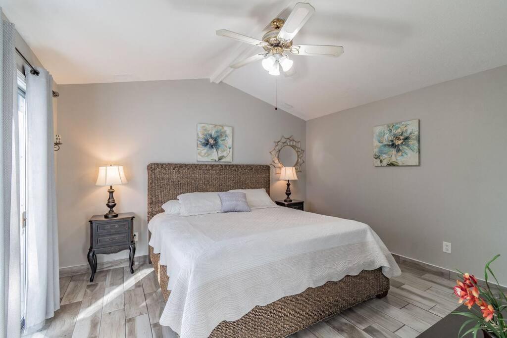 Town 'N' Country Cozy Corner, Your Florida Fun Hub Villa Tampa Exteriör bild