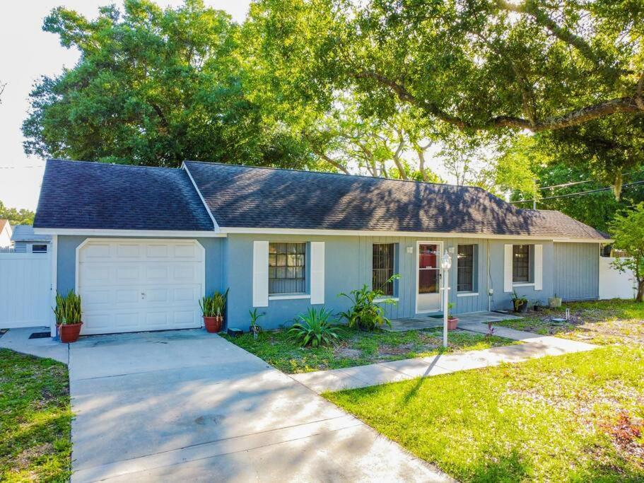 Town 'N' Country Cozy Corner, Your Florida Fun Hub Villa Tampa Exteriör bild