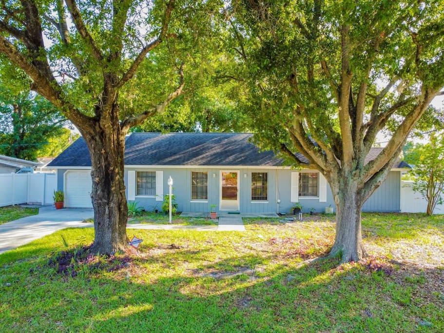 Town 'N' Country Cozy Corner, Your Florida Fun Hub Villa Tampa Exteriör bild